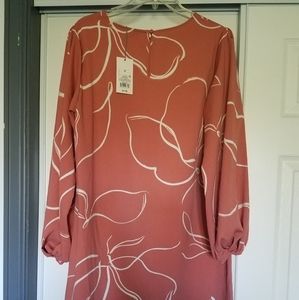 NWT Mossimo shift dress